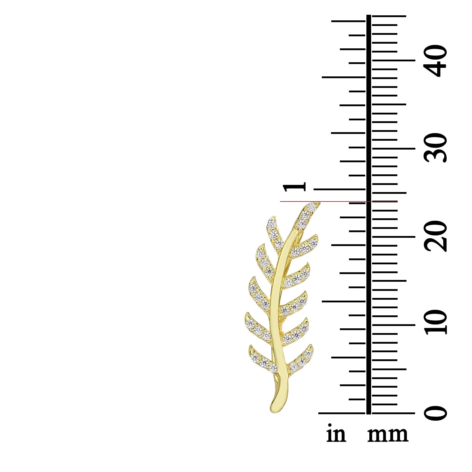 תמונת מוצר 3